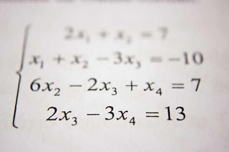 Students building their math future